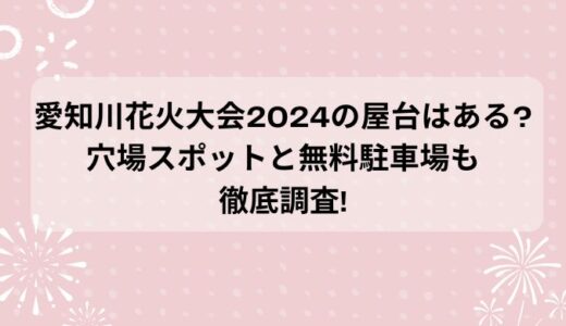 愛知川花火大会2024の屋台はある?穴場スポットと無料駐車場も徹底調査!